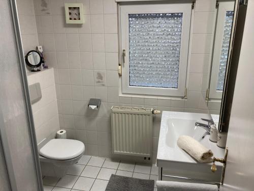 a bathroom with a toilet and a sink and a window at Wohnung 21 in Zeitlofs