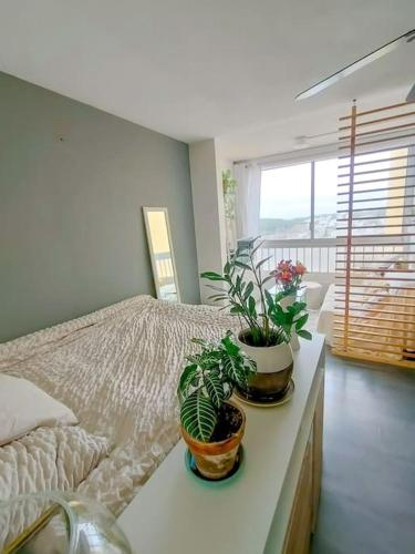 - une chambre avec un lit et 2 plantes sur une table dans l'établissement Studio 2min de la plage et parking privé, à Mauguio