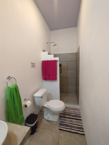 a bathroom with a toilet and a sink and a shower at Casajungla Hostel in Jacó