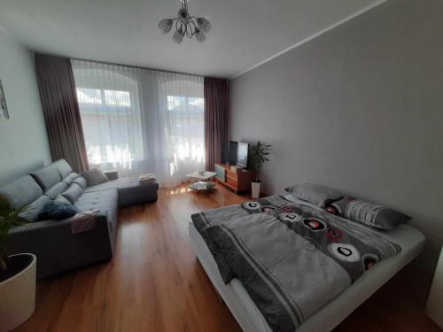 Apartament pod Dębem
