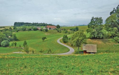a winding road in the middle of a green field at Two-Bedroom Holiday Home With Mountain View In St Märgen in Sankt Peter