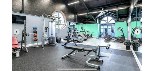 Fitness centrum a/nebo fitness zařízení v ubytování DW Serenity Cabin