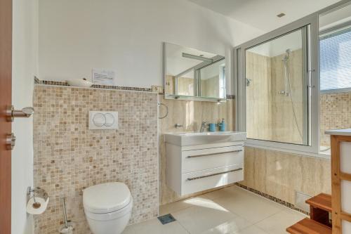 a bathroom with a toilet and a sink and a shower at Villa Azure Krimovica Kotor in Krimovice