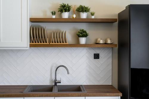 a kitchen counter with a sink and some plants at Casolare di Costas in Argostoli