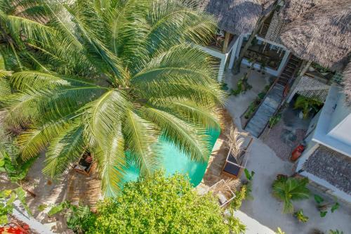 una vista dall'alto di una palma su una spiaggia di Ocean Boho House a Jambiani