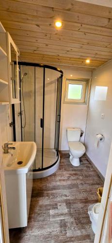 a bathroom with a shower and a toilet and a sink at Bachus in Chmielno