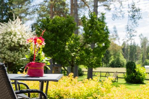 Ein Garten an der Unterkunft Pension Fischinger