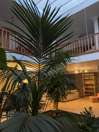 Fotografie z fotogalerie ubytování Casa Tegue v destinaci Nazaret