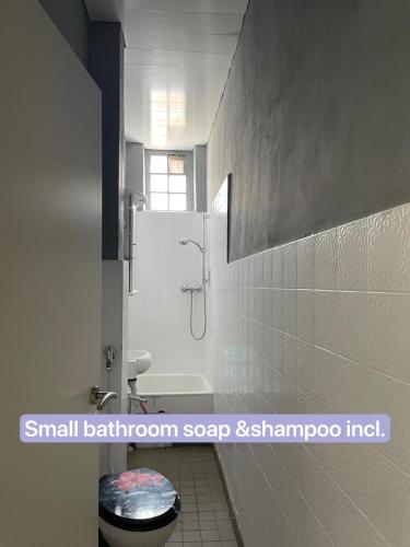a small bathroom with a shower and a toilet at Central appartment 2zimmer Waschmaschine trockener in Duisburg