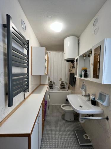 a small bathroom with a sink and a toilet at Piccola Parigi in Chiesa in Valmalenco