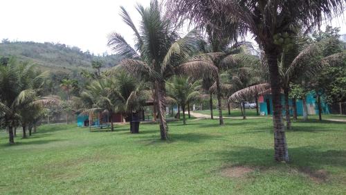 a group of palm trees in a park at Sete Marias in Paraty