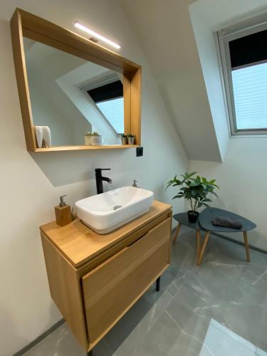 a bathroom with a sink and a mirror at "LE COCON" en HYPERCENTRE PARKING GRATUIT in Amiens
