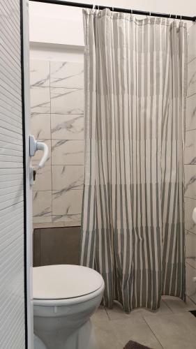 a bathroom with a toilet and a shower curtain at Agape Speranta 96 in Piteşti