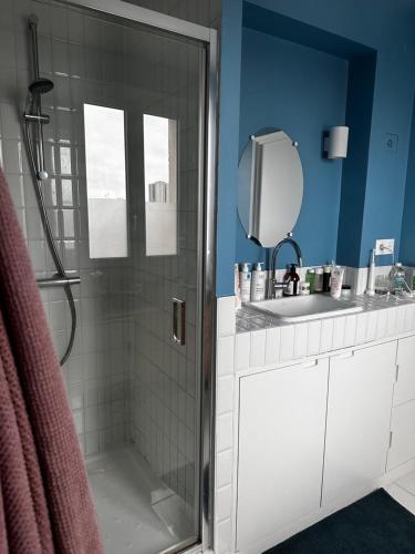 une salle de bain avec douche et lavabo dans l'établissement Magnifique 3 pièces à Aubervilliers, à Aubervilliers