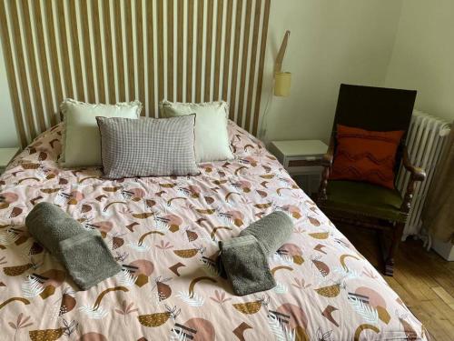 - une chambre avec un lit doté d'oreillers et d'une chaise dans l'établissement Maison chaleureuse Marsannay la Cote, à Marsannay-la-Côte