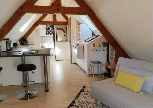 un salon avec un canapé et une cuisine dans l'établissement ADORABLE PETIT LOFT CLIM WIFI au pied de la cité, à Sarlat-la-Canéda