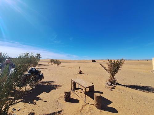 a bench sitting in the middle of the desert at Auberge Dinosaur Kem Kem in Tafraoute Sidi Ali