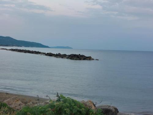 Φυσικό τοπίο κοντά σε αυτό το διαμέρισμα