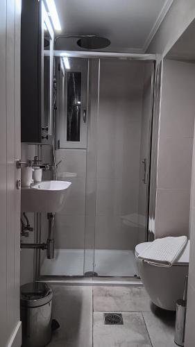a bathroom with a shower and a toilet and a sink at Stilvi Milos in Plaka Milou