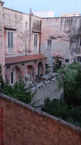 Enza Domus photo 14