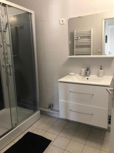 une salle de bain avec une douche en verre et un lavabo dans l'établissement Appartement - Vitry sur Seine, à Vitry-sur-Seine