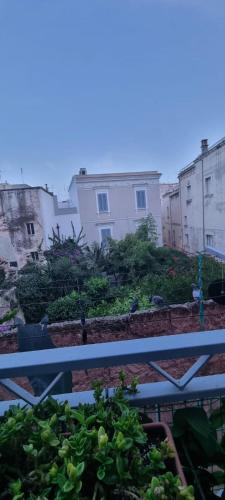 Enza Domus photo 12