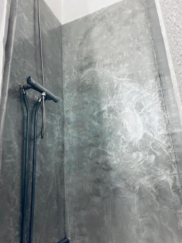 La salle de bains est pourvue d'une douche et d'un mur en métal. dans l'établissement Agréable appartement aux Capellans avec loggia, WIFI et parking, à Saint-Cyprien