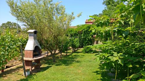 a garden with an outdoor oven in the middle of a yard at Villa Cortinella in Marlia