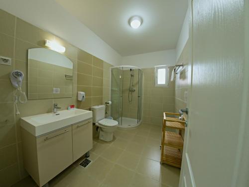 a bathroom with a shower and a sink and a toilet at Elektra - Sulina in Sulina
