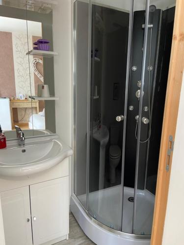 a bathroom with a shower and a sink at Chambres de l enclose in La Barre-de-Monts