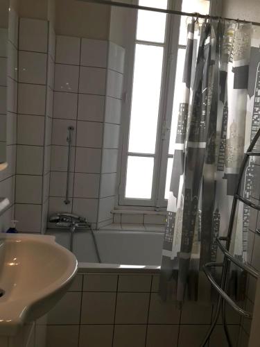 une salle de bain avec une baignoire, un lavabo et une fenêtre dans l'établissement RUE DE LA PAIX - Hypercentre - Thermes - Calme, à Vichy