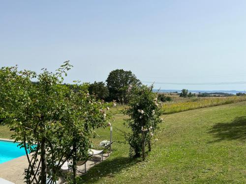a row of apple trees in a field next to a pool at Panoramic villa with pool in Bolsena