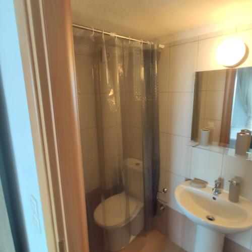 a bathroom with a shower and a toilet and a sink at Seaside house in Sozopoli