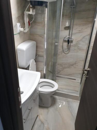 a bathroom with a shower and a toilet and a sink at Penthouse Giovanni in Orşova
