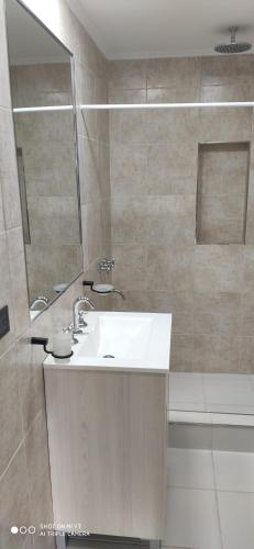 a bathroom with a sink and a shower at Complejo las Catalinas Dto 2 A in Puerto Madryn