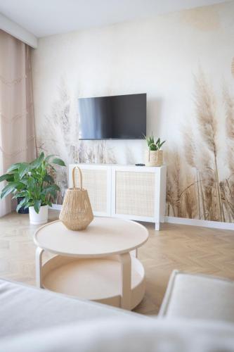 TV a/nebo společenská místnost v ubytování Apartamenty Deluxe