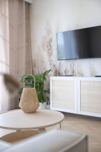 TV a/nebo společenská místnost v ubytování Apartamenty Deluxe