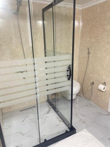 a glass shower in a bathroom with a toilet at BALEK APART in Pelitli