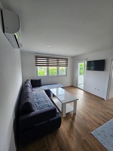 Μια τηλεόραση ή/και κέντρο ψυχαγωγίας στο Apartmani gradina Tuzla