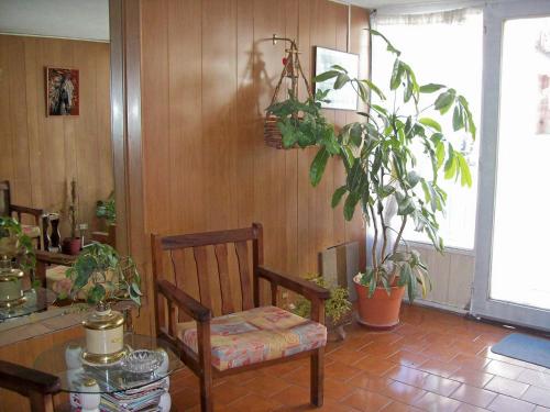 a room with a chair and a table with plants at Hotel Perla Central in Mar del Plata