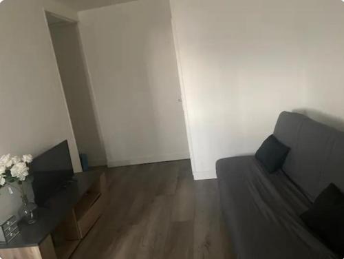 un salon avec un canapé et une table dans l'établissement Beau studio gare, à Montataire