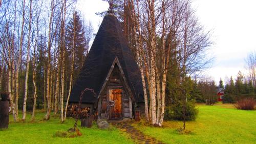 a small cabin with a black roof in a forest at Holiday Village Kuukiuru in Vuostimo