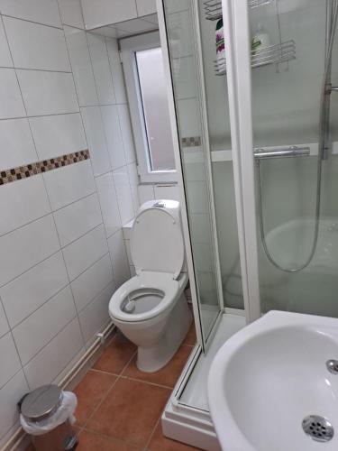 a bathroom with a toilet and a shower and a sink at George&K Apartament in Larvik