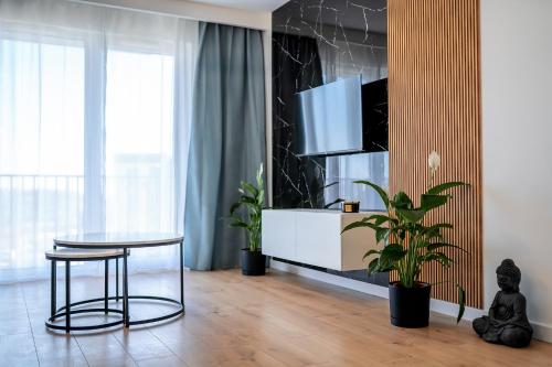 TV a/nebo společenská místnost v ubytování Apartamenty Deluxe