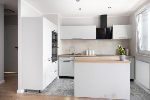 Kuchyň nebo kuchyňský kout v ubytování Apartamenty Deluxe