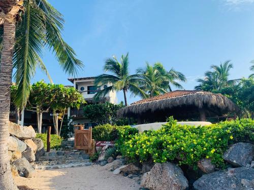 Jardin de l'établissement Casa Manzanillo - Bridge Room - Ocean View Room at Exceptional Beach Front Location