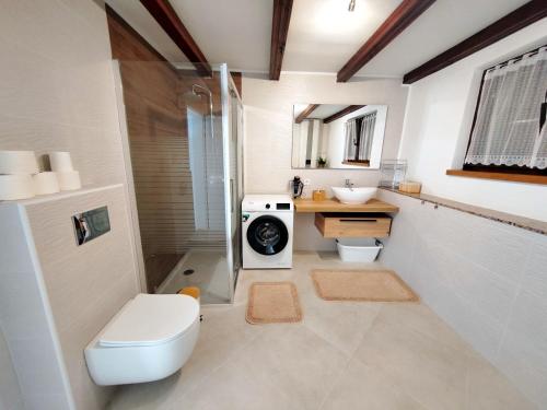 ein Badezimmer mit Toilette und Waschmaschine in der Unterkunft Holiday house with a parking space Mundanije, Rab - 23396 in Rab