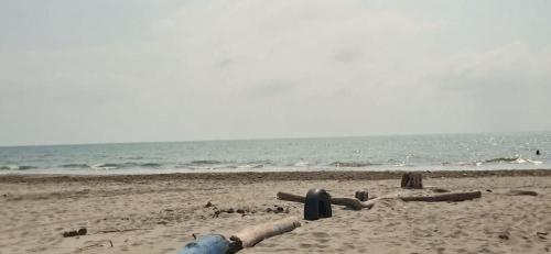 a beach with some logs on the sand and the ocean at HOSTAL LA BOQUILLA in Cartagena de Indias