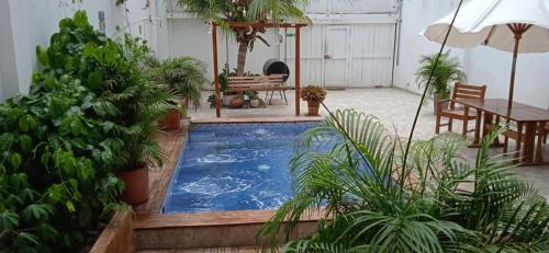 a small swimming pool in a yard with plants at HOSTAL LA BOQUILLA in Cartagena de Indias