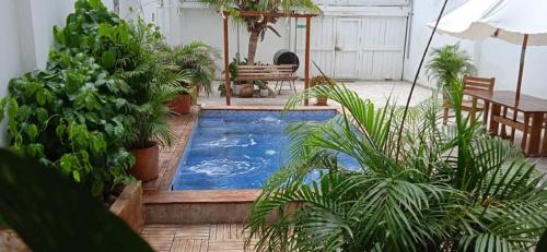 a swimming pool in a courtyard with plants at HOSTAL LA BOQUILLA in Cartagena de Indias
